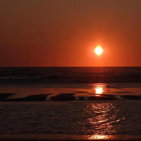 Vrijstaand Koetshuis Marron Alojamento de Acomodação e Pequeno-almoço Barsingerhorn