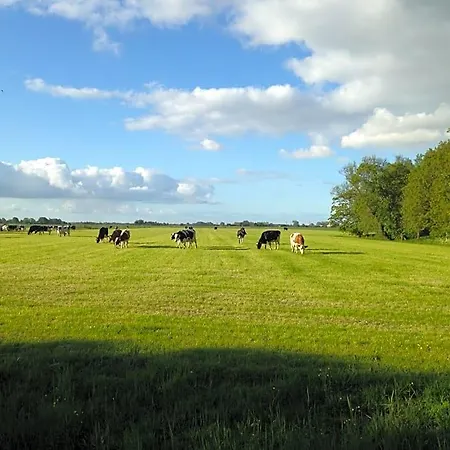 Vrijstaand Koetshuis Marron Bed & Breakfast 3*