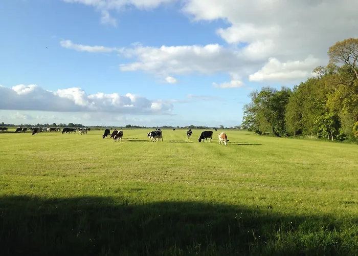 Vrijstaand Koetshuis Marron Barsingerhorn
